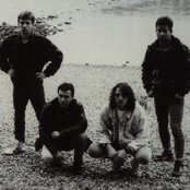 Blood - List pictures