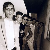 Titas - List pictures