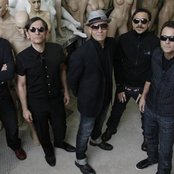 Titas - List pictures