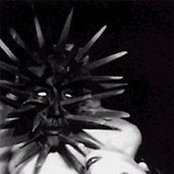 Die Form - List pictures