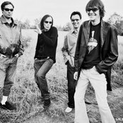 Wiki - List pictures