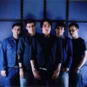 Scarlet - List pictures