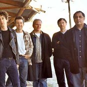 The Iguanas - List pictures