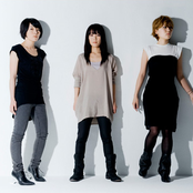 Chat Monchy - List pictures