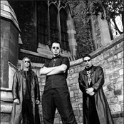 Emperor - List pictures