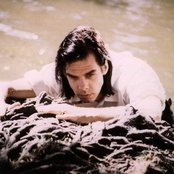 Nick Cave - List pictures