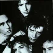 Einstuerzende Neubauten - List pictures