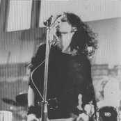 Slits - List pictures