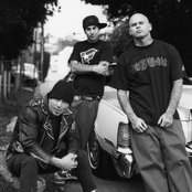 Transplants - List pictures