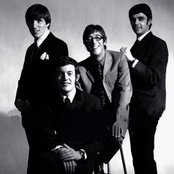 The Shadows - List pictures