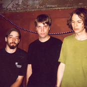 Marmoset - List pictures