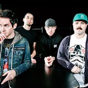 Taproot - List pictures