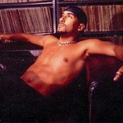 Armand Van Helden - List pictures