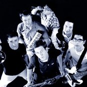 Hippos - List pictures