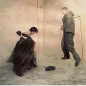 Lamb - List pictures