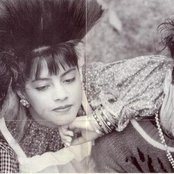 Anything Box - List pictures