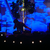 Blackbird Blackbird - List pictures