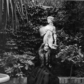 Joanna Newsom - List pictures