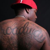 Willy Northpole - List pictures