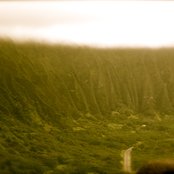 Grmln - List pictures