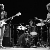 Elefant - List pictures