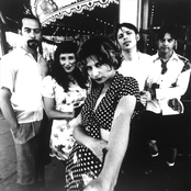 The Geraldine Fibbers - List pictures