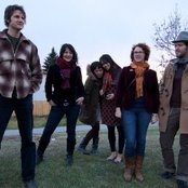 Woodpigeon - List pictures