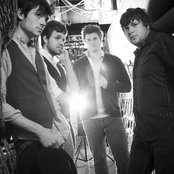 Seabird - List pictures