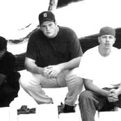 House Of Krazees - List pictures