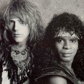 Badger - List pictures