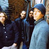 Jimmy's Chicken Shack - List pictures