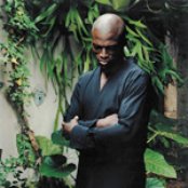 Seal - List pictures