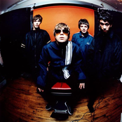 Shed Seven - List pictures