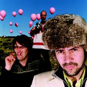 Flaming Lips - List pictures