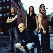 Disturbed - List pictures