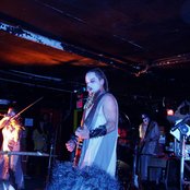 Sleepytime Gorilla Museum - List pictures