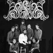 Sam The Sham & The Pharaohs - List pictures