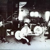 Cactus World News - List pictures