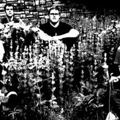 Maserati - List pictures