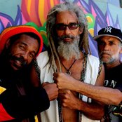 Mystic Revealers - List pictures