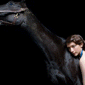 My Brightest Diamond - List pictures