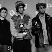 Digable Planets - List pictures