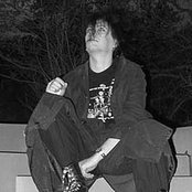 Velvet Acid Christ - List pictures