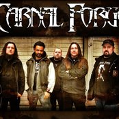 Carnal Forge - List pictures