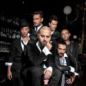 Negramaro - List pictures