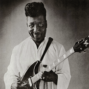 Muddy Waters - List pictures