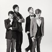 Grizzly Bear - List pictures