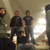 Amber - List pictures