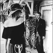 The Flying Lizards - List pictures