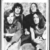 Heron - List pictures